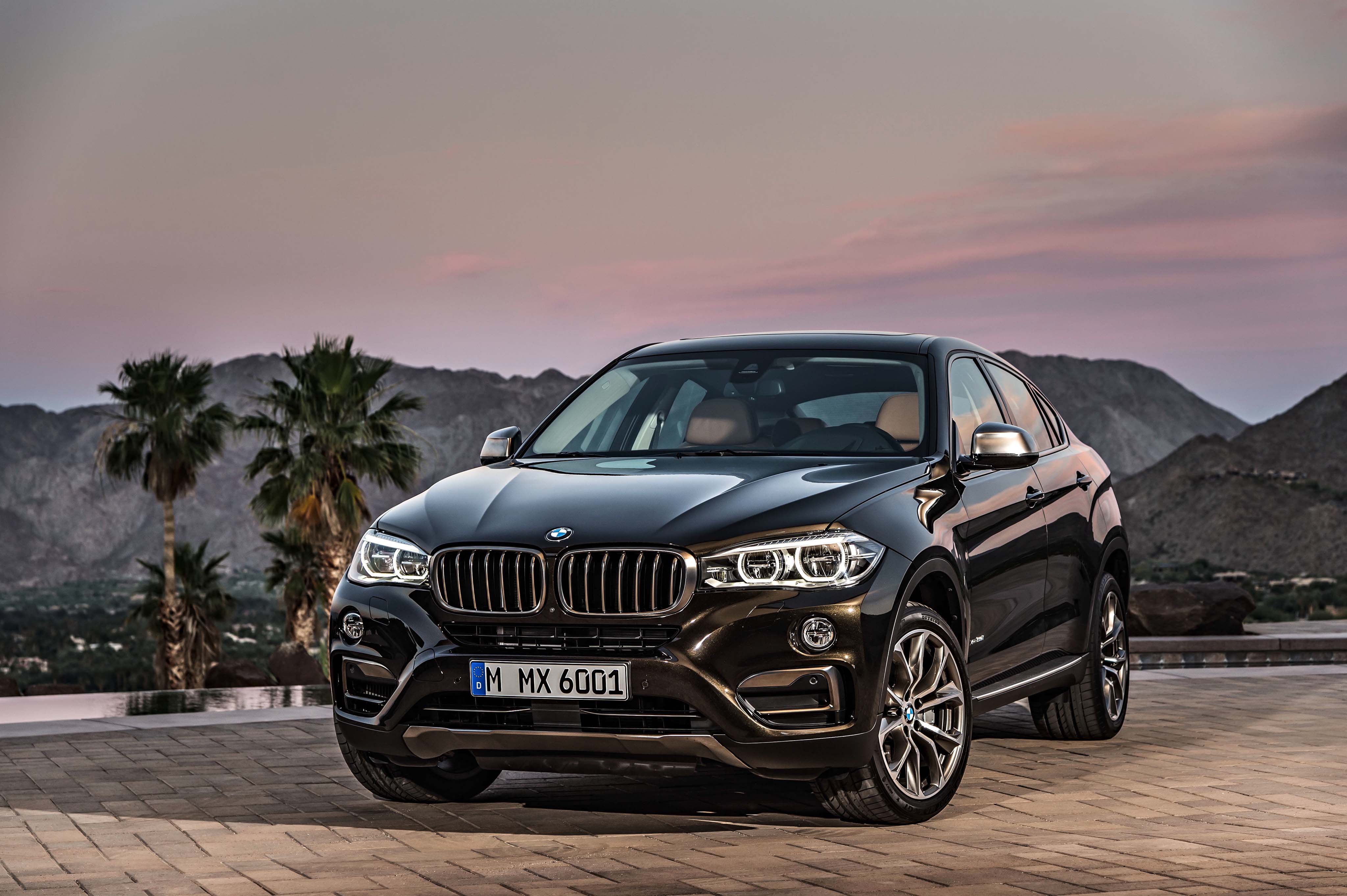 BMW X6: frontal
