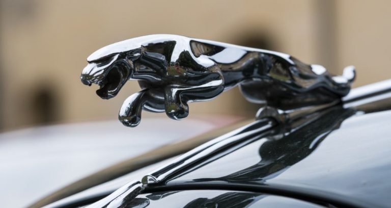 Jaguar: la historia de los elegantes coches británicos