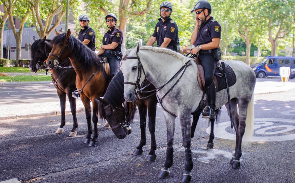 Policía Nacional fuerzas de seguridad y orden