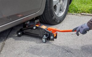 Tipos de gatos para nuestro coche