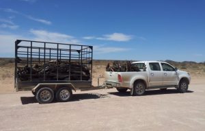 Consejos para conducir con remolque