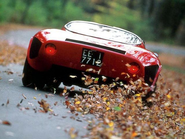 Alfa Romeo Tipo 33 Stradale: trasera