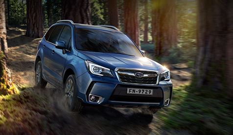 Subaru Forester.