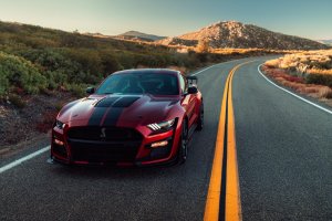Ford Mustang Shelby GT500 2020: el pony car, más potente que nunca