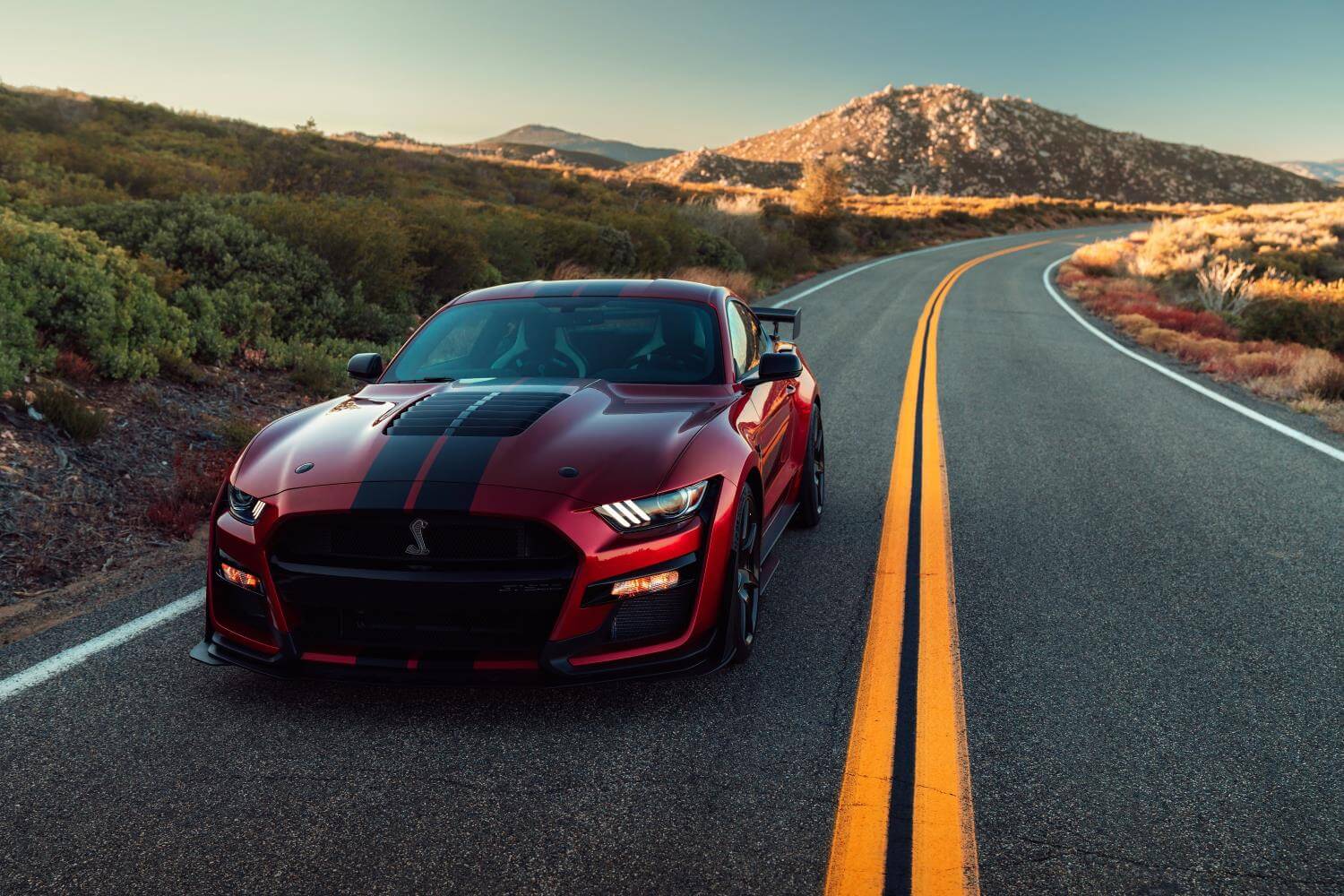 Ford Mustang Shelby GT500 2020: frontal