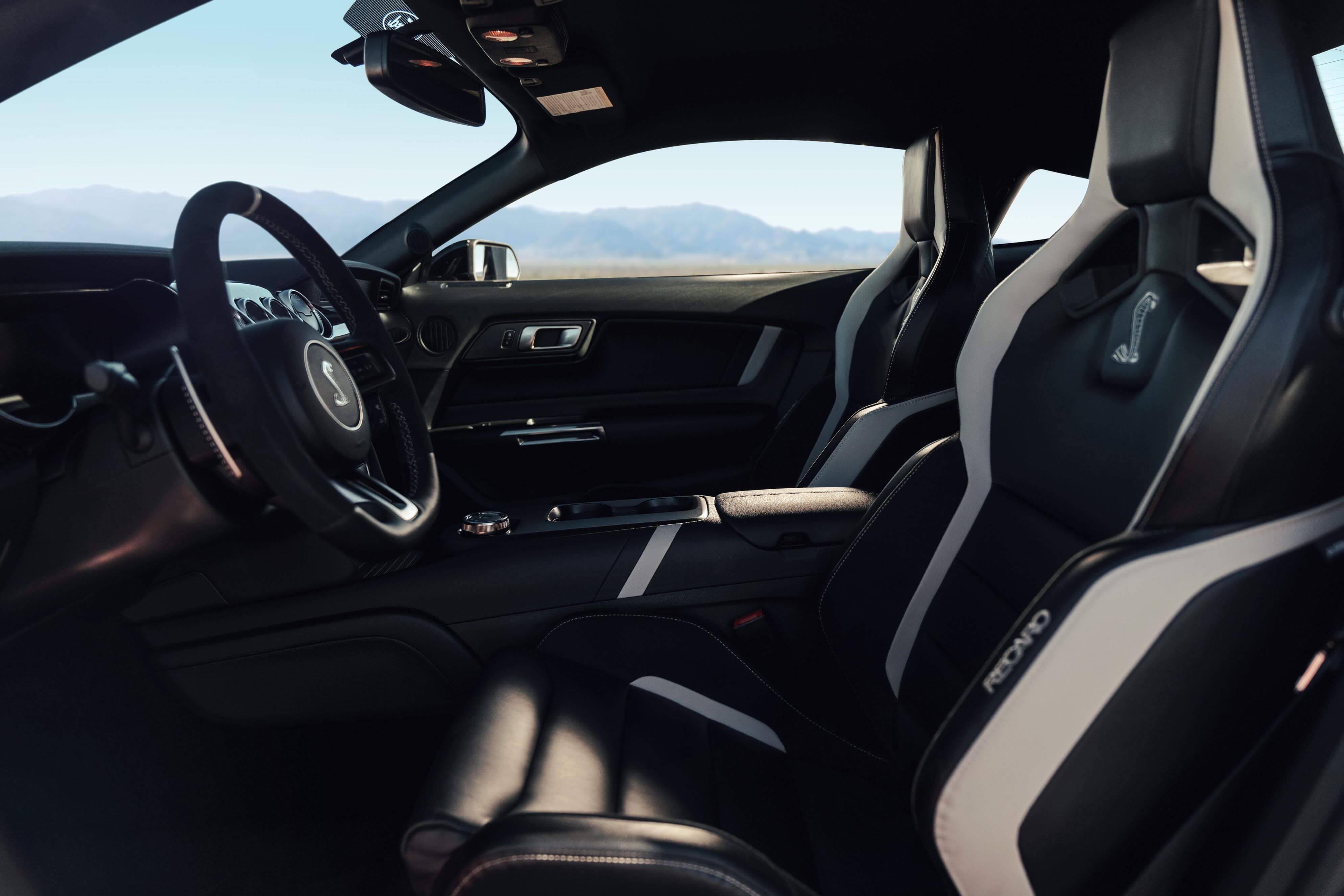 Ford Mustang Shelby GT500 2020: interior