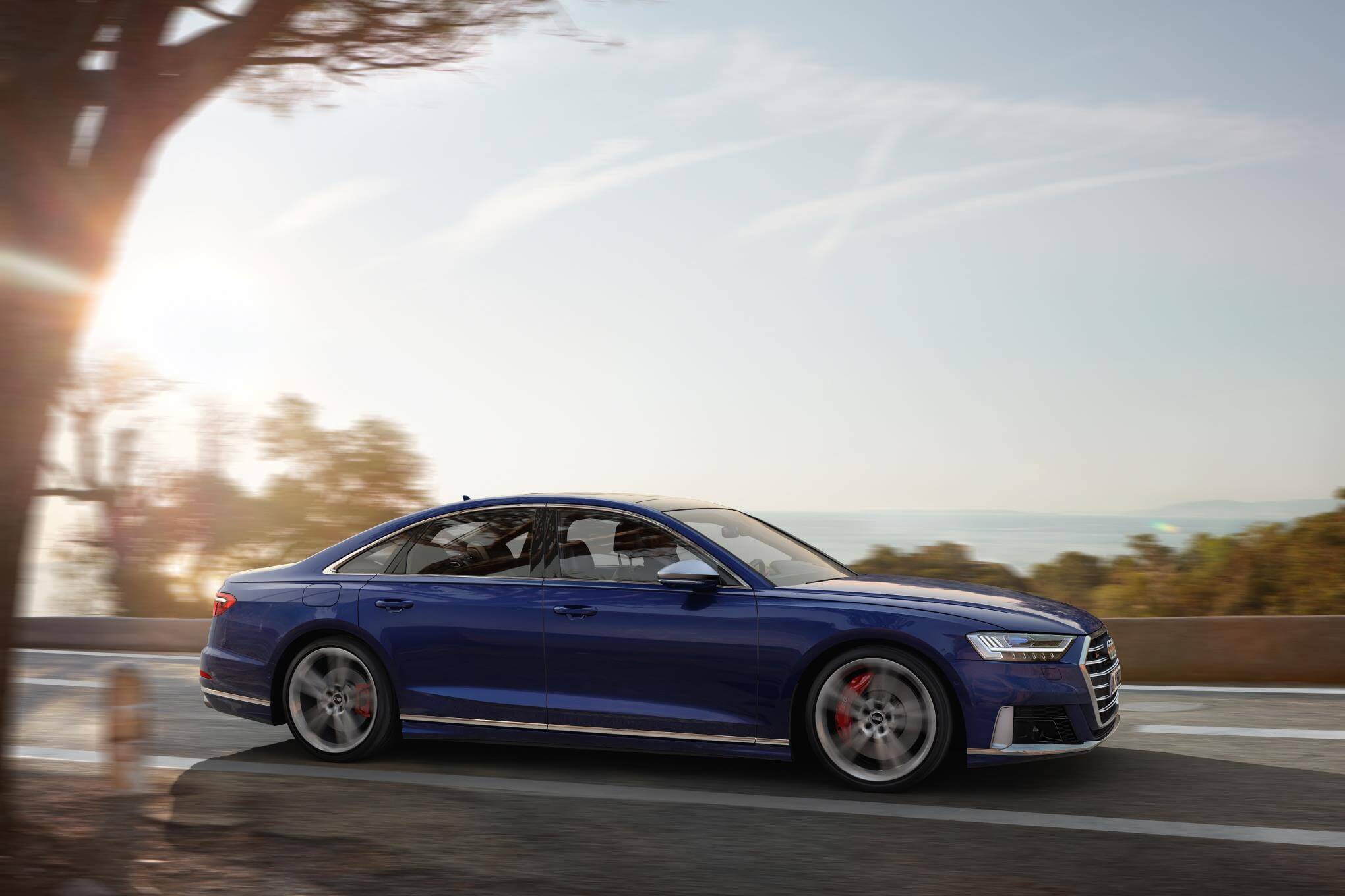 Audi S8 2020: perfil.